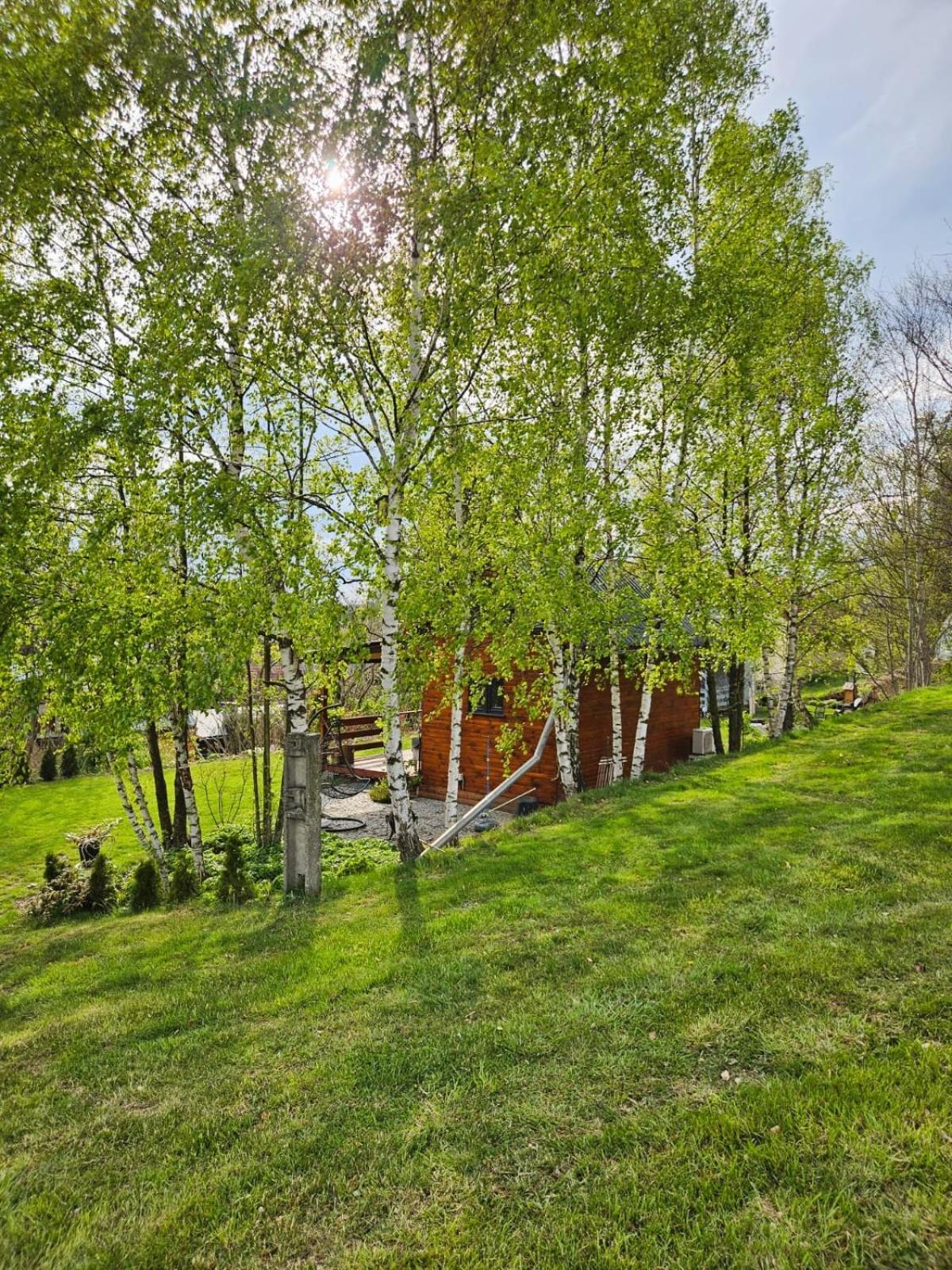 Domek Na Korcie Lubomierz  Экстерьер фото