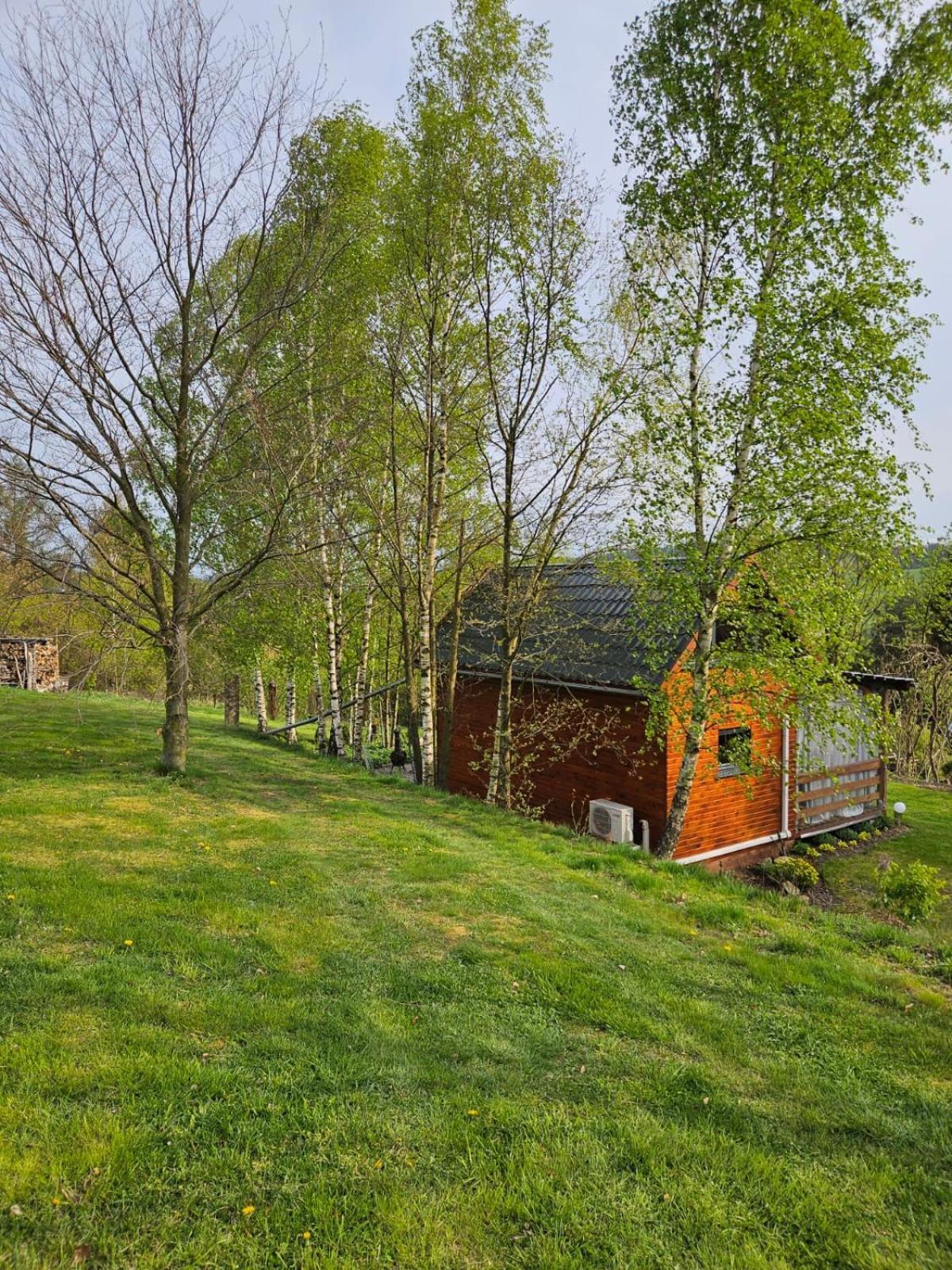 Domek Na Korcie Lubomierz  Экстерьер фото